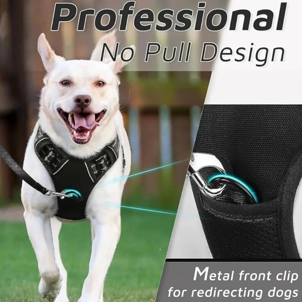 Pets Plaza brand new